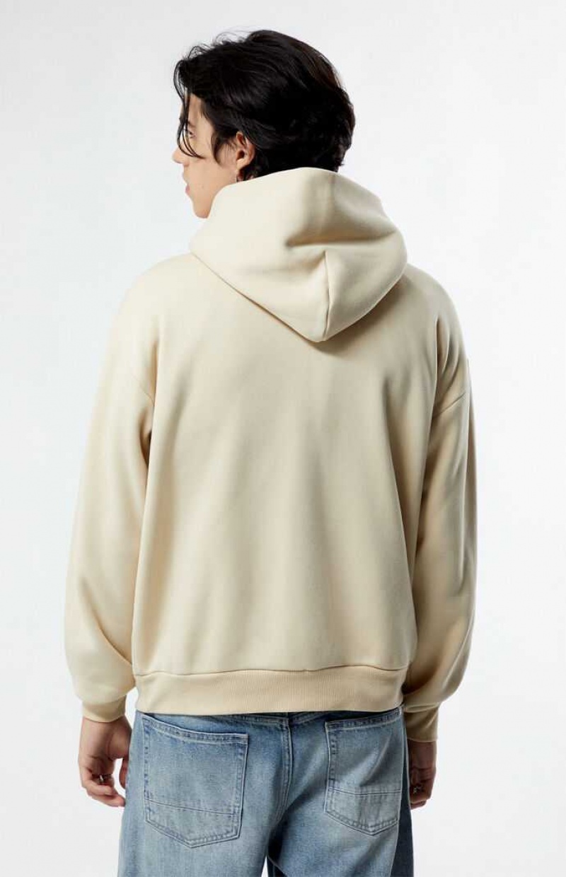 FOG PacSun Solid Hoodie | FMDRZHB-54