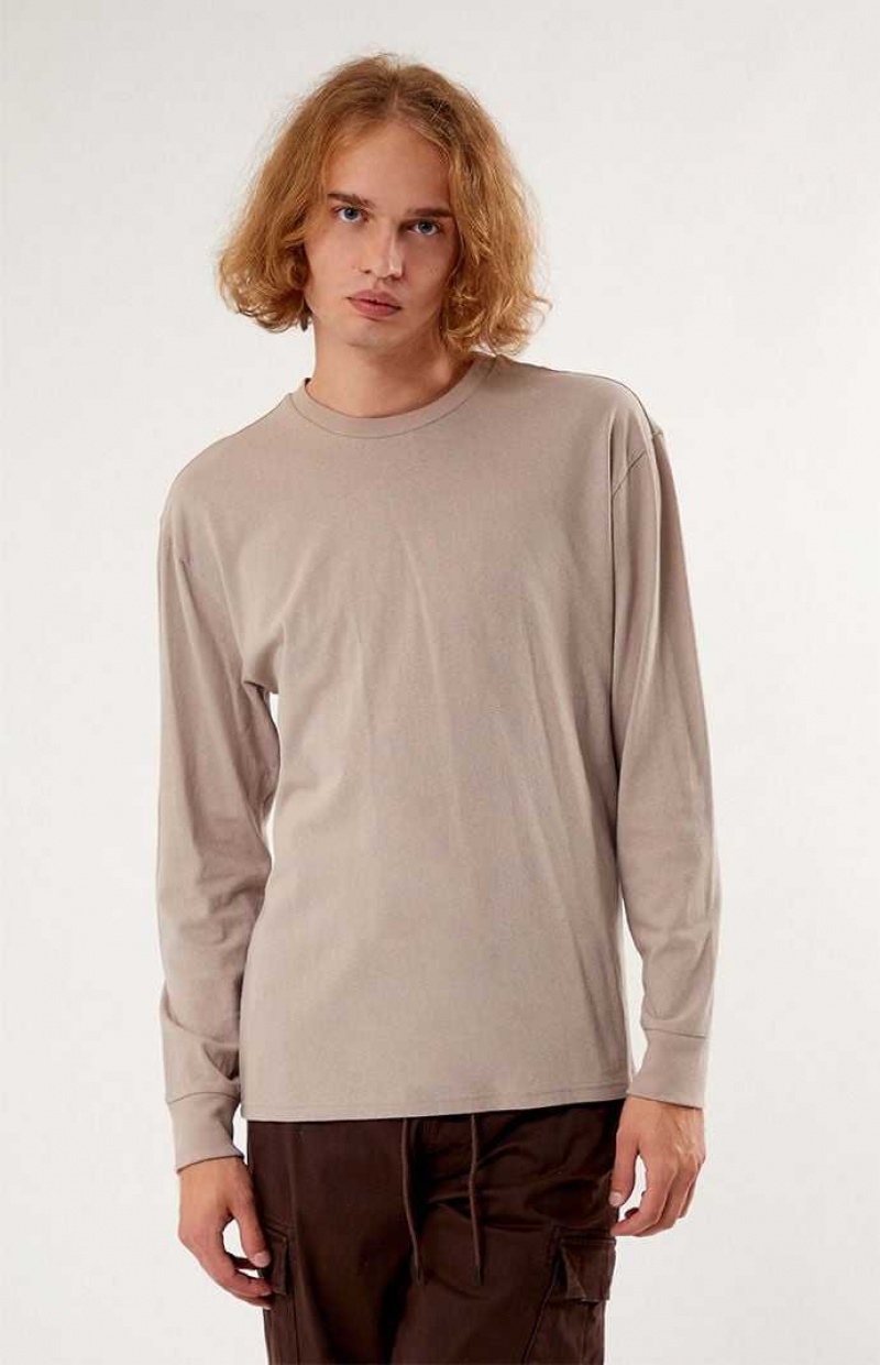 GRAY PacSun Reece Basic Long Sleeve T-Shirt | WMTDNEB-02