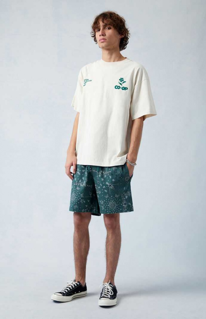 GREEN PacSun Green Reed Printed Twill Volley Shorts | PGUBLCI-94