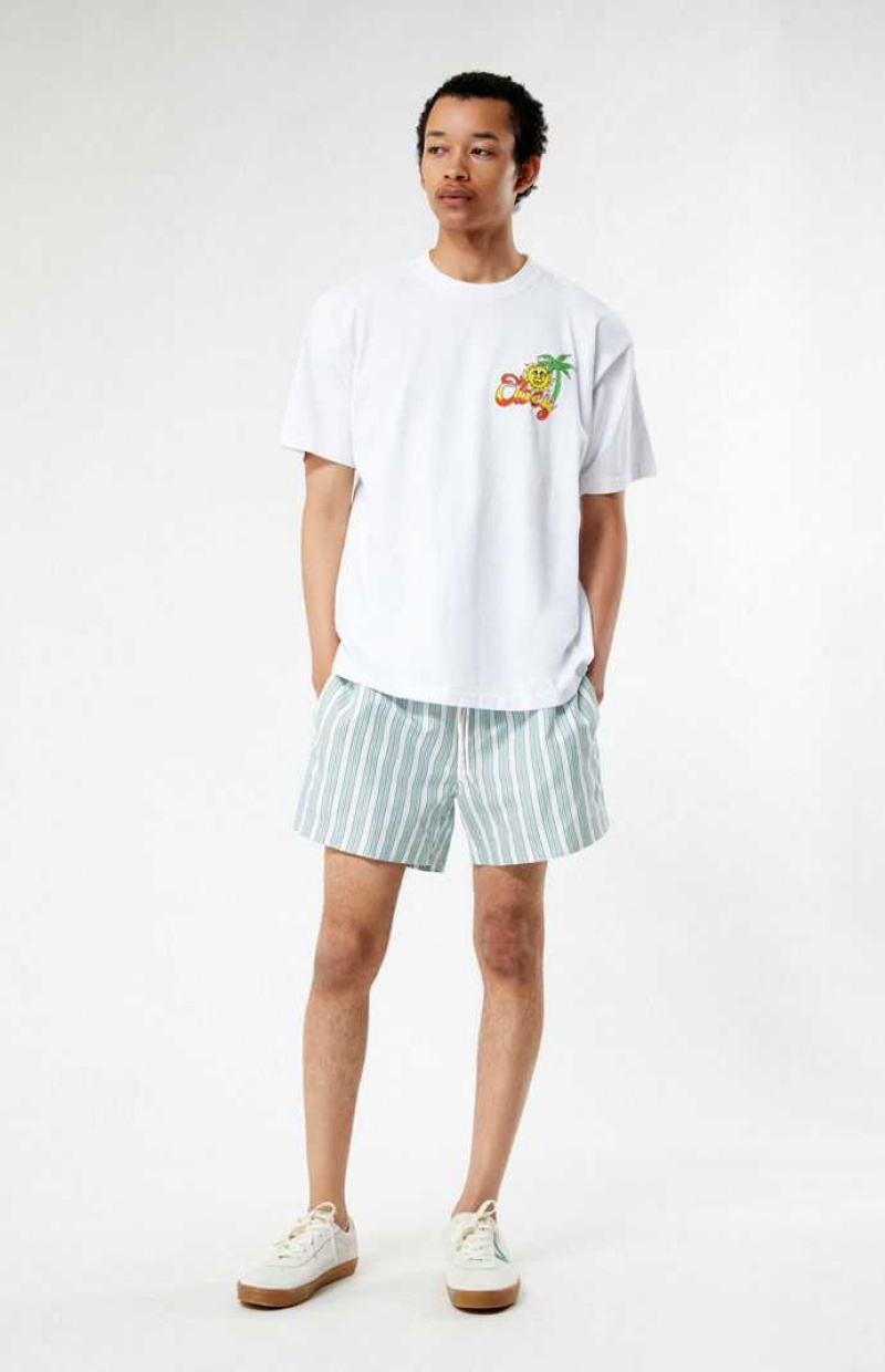 GREEN PacSun Stripe 4.5" Swim Trunks | PZCWLOT-28