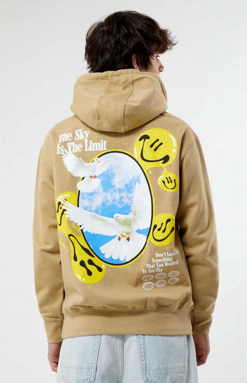 KHAKI PacSun Unlocked Dreams Hoodie | IQKWCNB-62