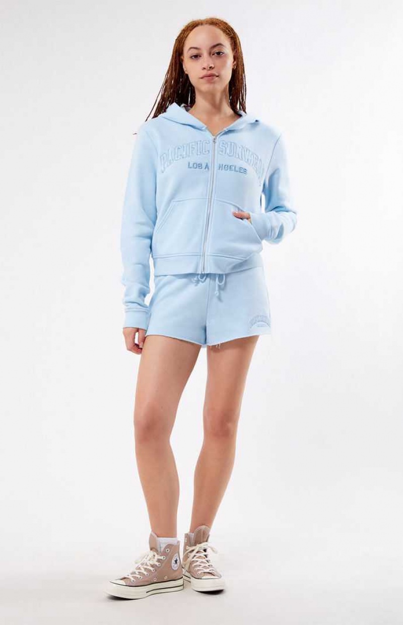 LIGHT BLUE PacSun Pacific Sunwear Full Zip Hoodie | TDJEYHO-18