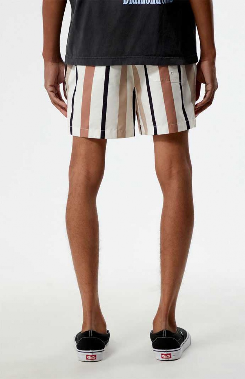 MULTI PacSun Stripe 4.5" Swim Trunks | BUZMSXH-02