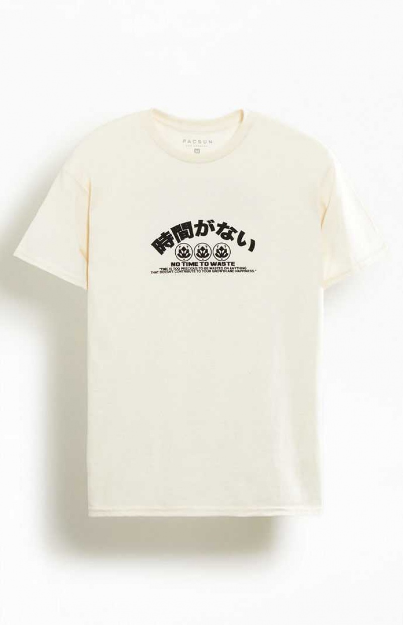 NATURAL PacSun No Time To Waste T-Shirt | LMIEDWC-50