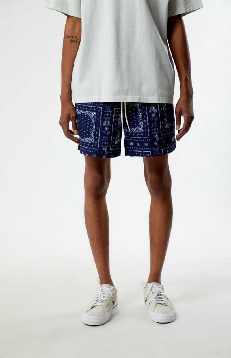 NAVY PacSun Eco Bandana Block 4.5" Swim Trunks | QGTSFLE-08