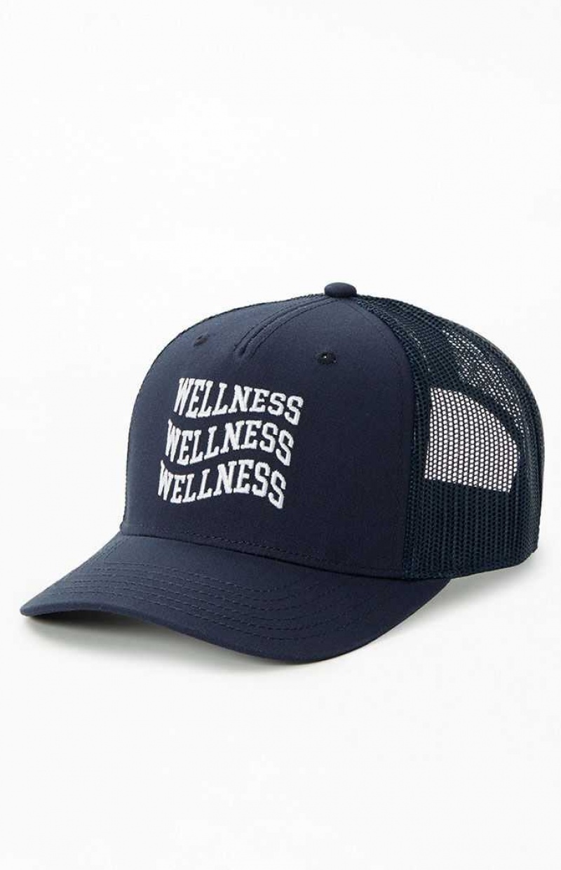 NAVY PacSun Wavy Wellness Trucker Hat | OWNYKFP-75