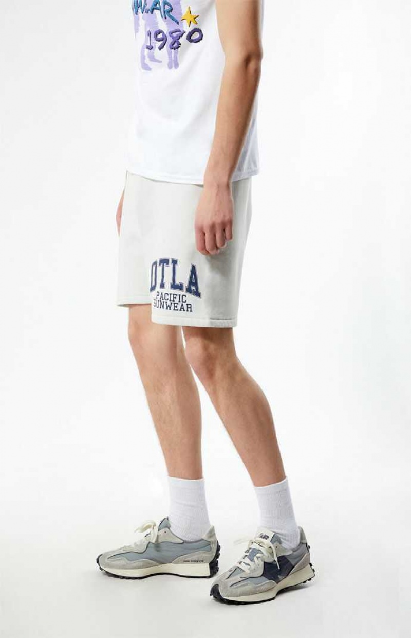 OFF WHITE PacSun DTLA Pacific Sunwear Fleece Sweat Shorts | WNDTZOS-98