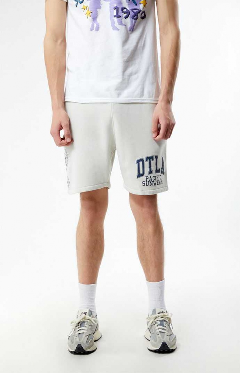 OFF WHITE PacSun DTLA Pacific Sunwear Fleece Sweat Shorts | WNDTZOS-98