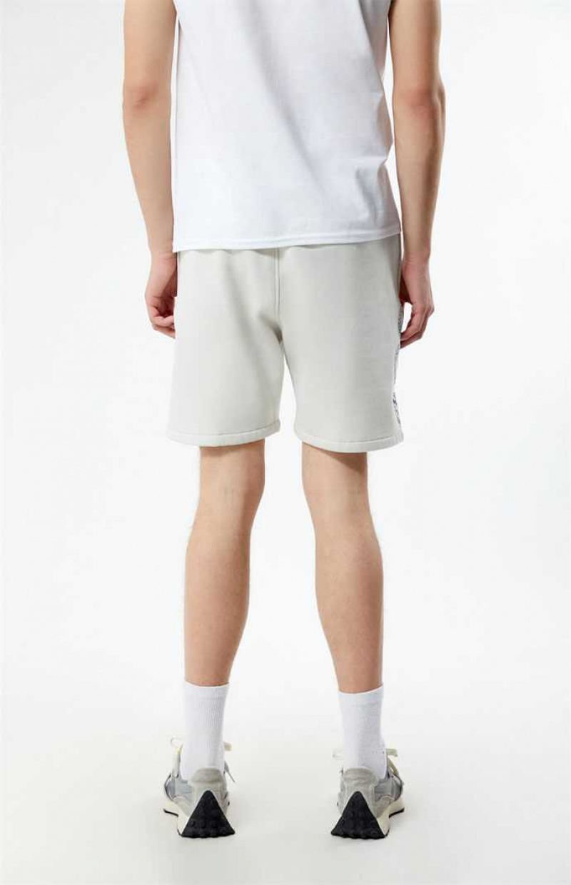 OFF WHITE PacSun DTLA Pacific Sunwear Fleece Sweat Shorts | WNDTZOS-98