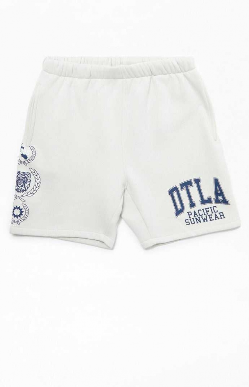 OFF WHITE PacSun DTLA Pacific Sunwear Fleece Sweat Shorts | WNDTZOS-98