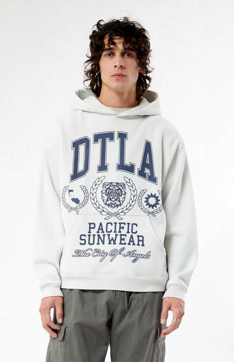 OFF WHITE PacSun Pacific Sunwear DTLA Collegiate Hoodie | NPKAYDQ-38