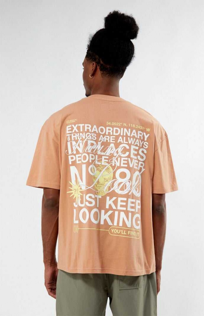 PEACH PacSun Peach N80 T-Shirt | LPQKYGJ-97