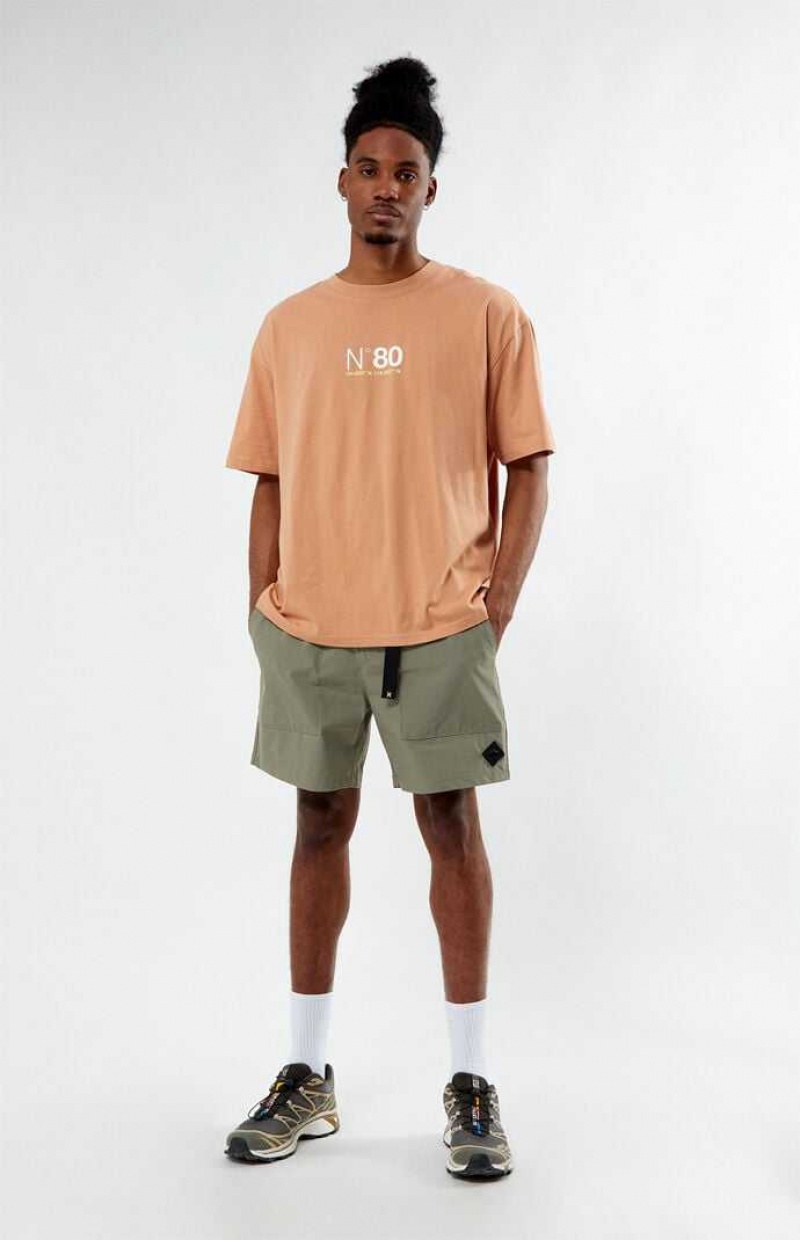 PEACH PacSun Peach N80 T-Shirt | LPQKYGJ-97