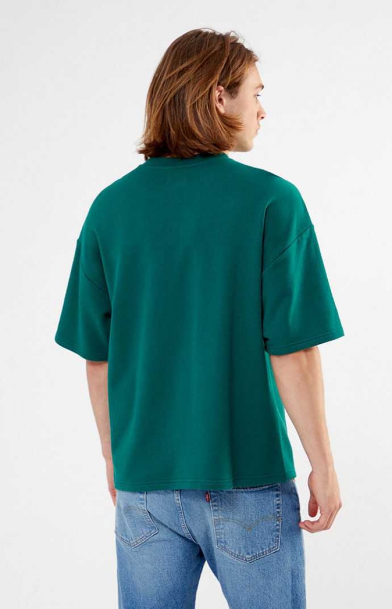 PINE PacSun Pine Dive Fleece T-Shirt | ROJDTZA-16