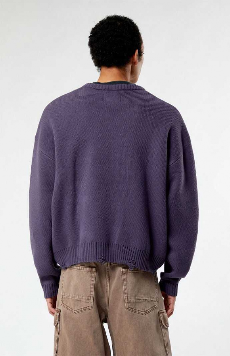 PLUM PacSun Faded Memories Cropped Sweater | LDVKFRQ-46