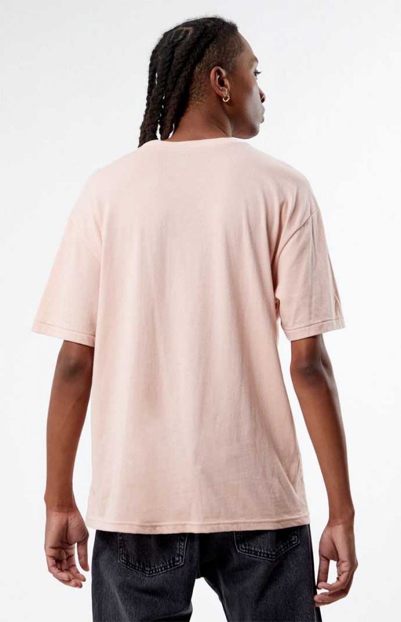 ROSE PacSun Venice Embroidered Regular Fit T-Shirt | XMTKQNZ-63