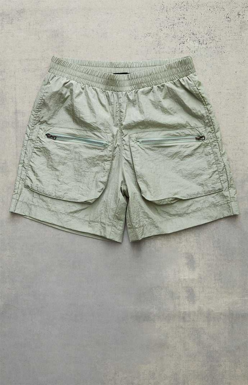 SAGE PacSun Nylon Sage Volley Shorts | XVABDIF-20