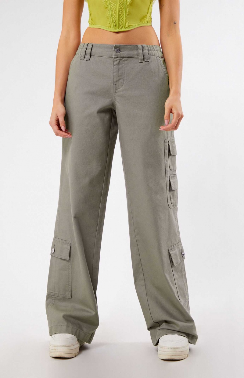 SAGE PacSun Sage Elastic Waist Low Rise Baggy Cargo Pants | XEAKSCN-76