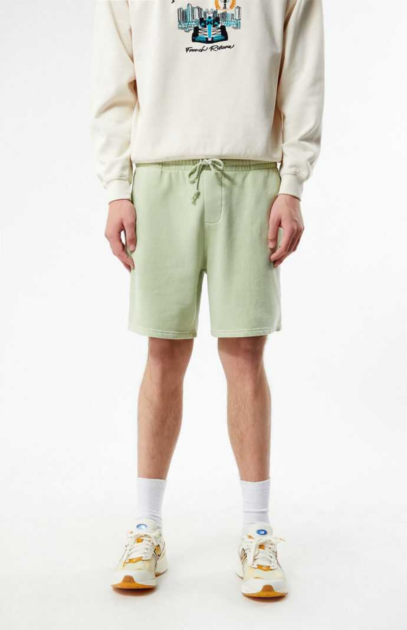 SAGE PacSun Sage Volley Shorts | EGJNCQZ-64