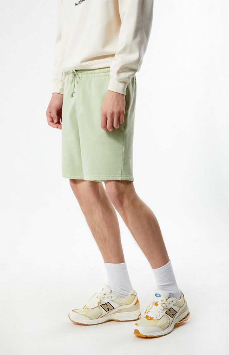 SAGE PacSun Sage Volley Shorts | EGJNCQZ-64