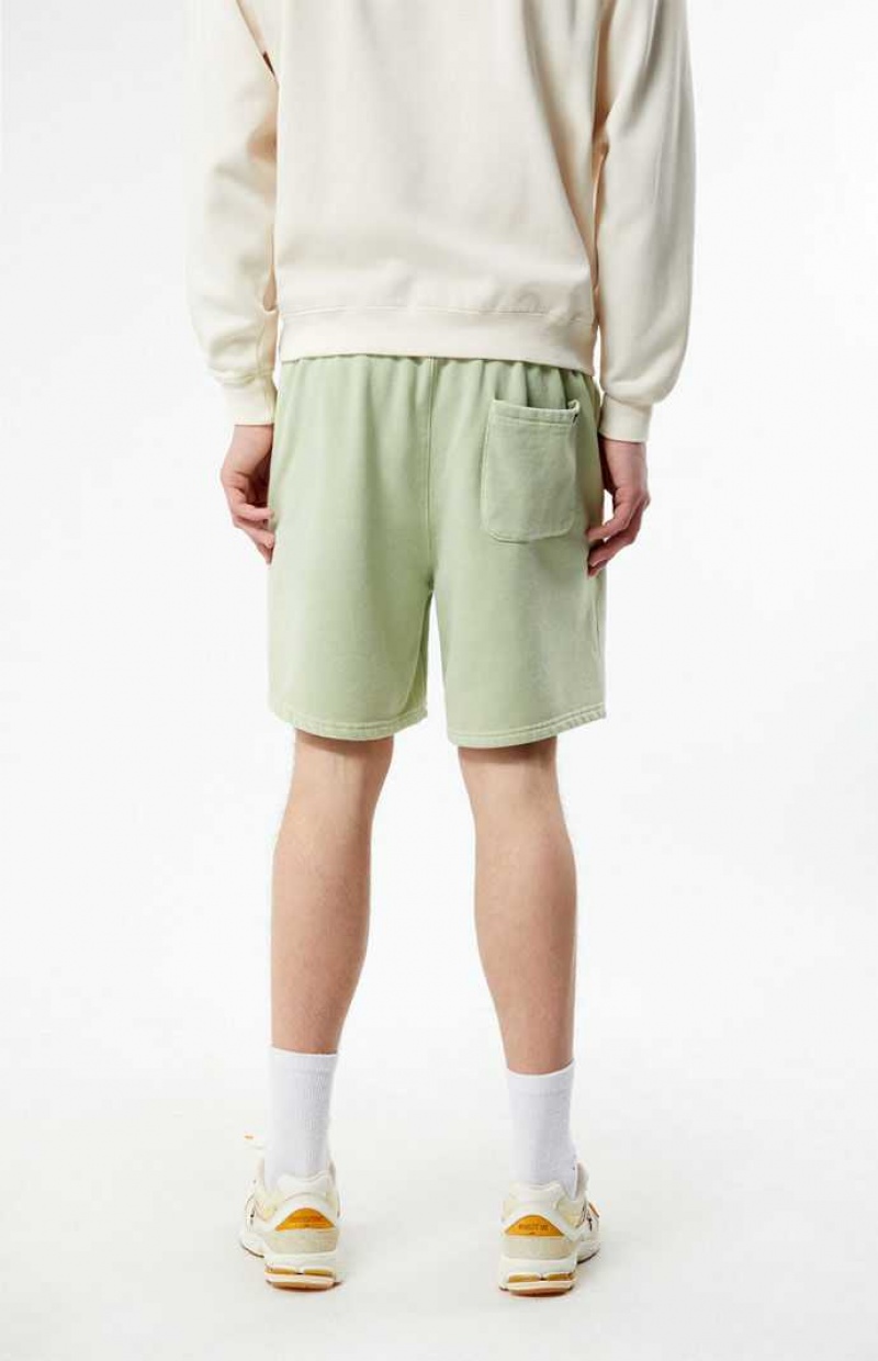 SAGE PacSun Sage Volley Shorts | EGJNCQZ-64