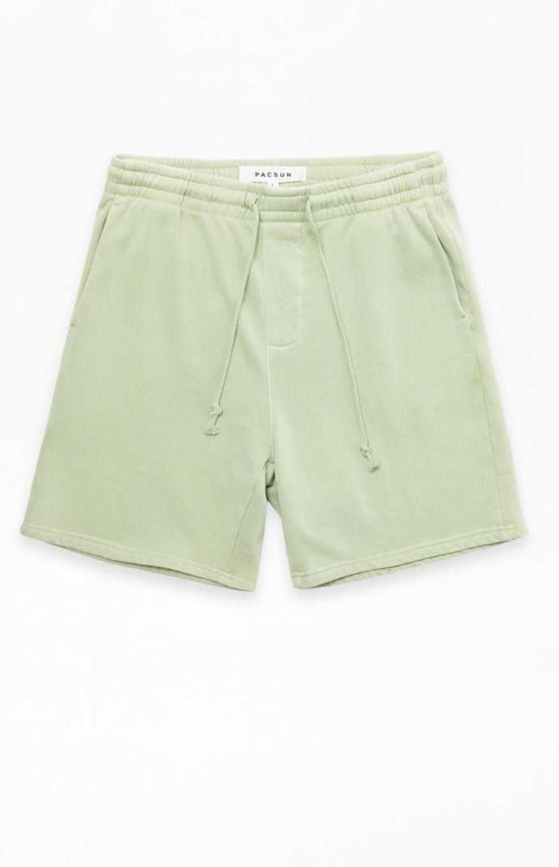 SAGE PacSun Sage Volley Shorts | EGJNCQZ-64