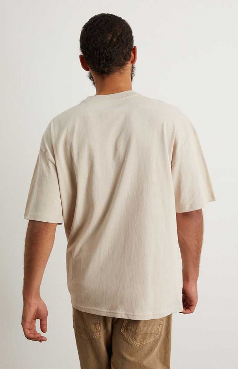 SILVER PacSun PS Basics Solid Boxy T-Shirt | WNDOGRY-39