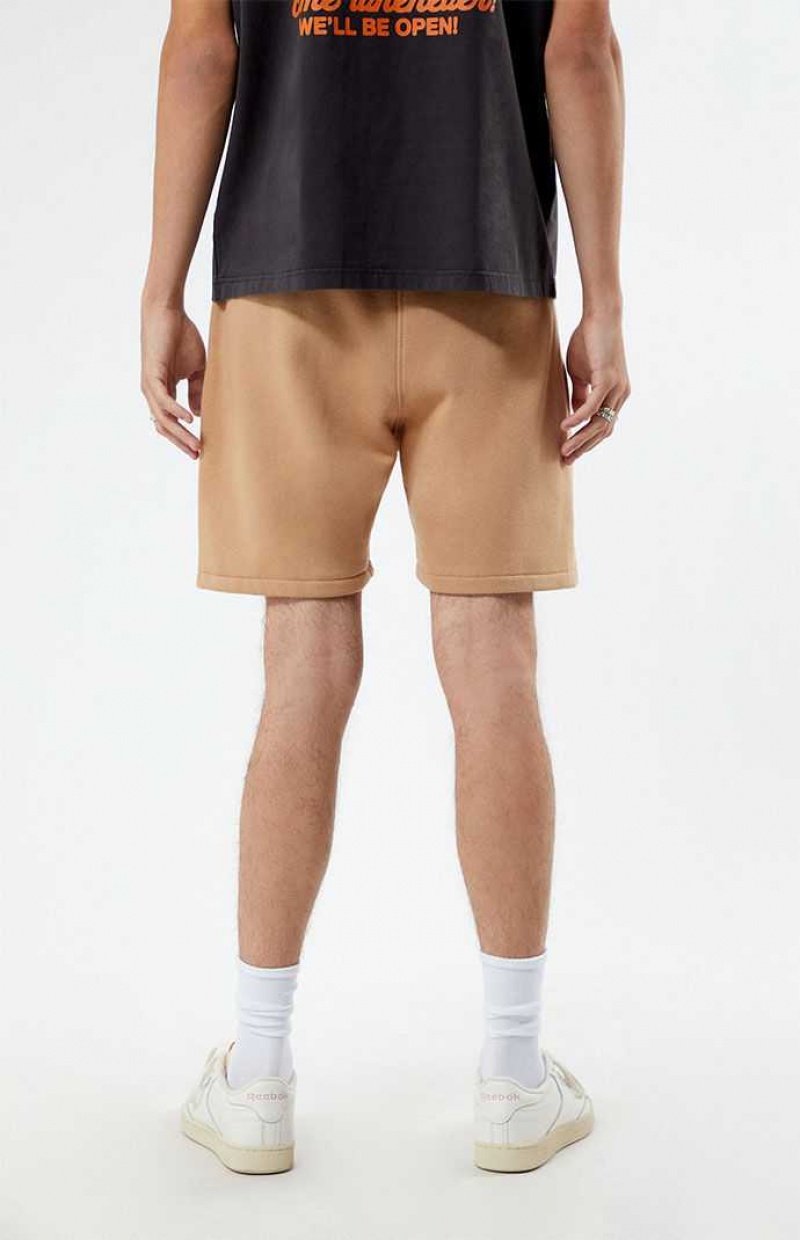 TAN PacSun Car Fleece Shorts | ENGCBKD-87