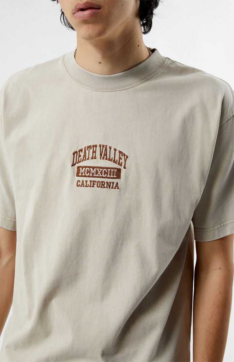 TAN PacSun Death Valley Embroidered T-Shirt | SWQTGLN-21