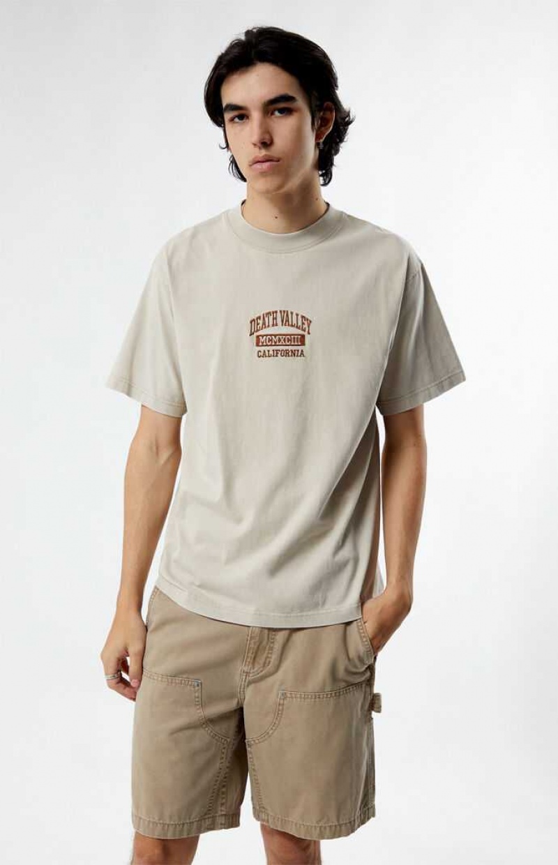 TAN PacSun Death Valley Embroidered T-Shirt | SWQTGLN-21