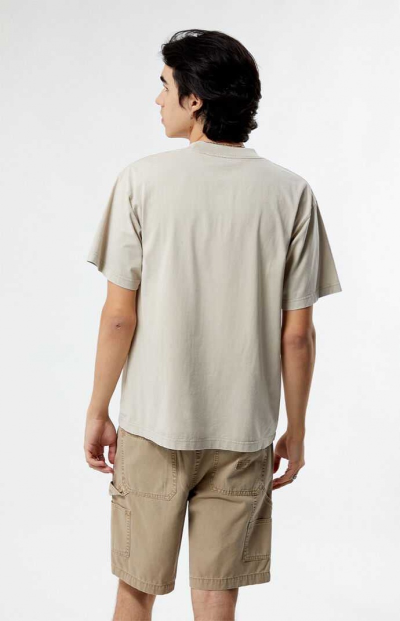 TAN PacSun Death Valley Embroidered T-Shirt | SWQTGLN-21