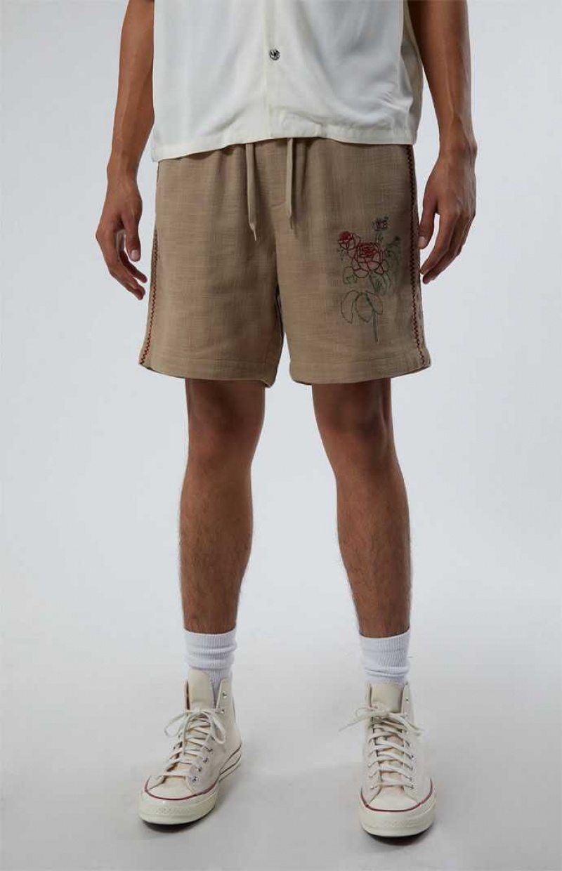 TAN PacSun Embroidered Linen Volley Shorts | SAVMEBD-61