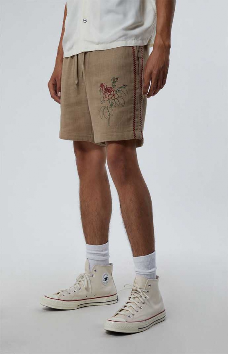 TAN PacSun Embroidered Linen Volley Shorts | SAVMEBD-61