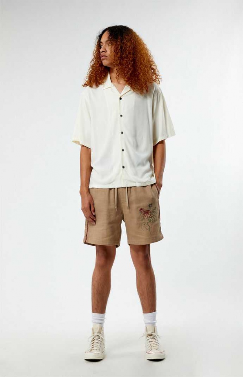 TAN PacSun Embroidered Linen Volley Shorts | SAVMEBD-61