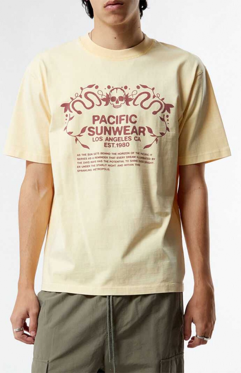 TAN PacSun Pacific Sunwear Behind The Horizons T-Shirt | QYZRPCB-81