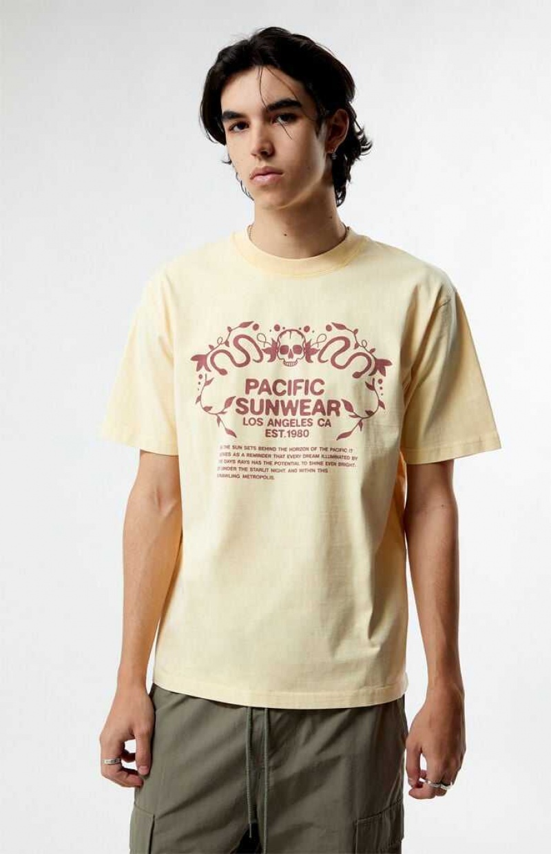 TAN PacSun Pacific Sunwear Behind The Horizons T-Shirt | QYZRPCB-81