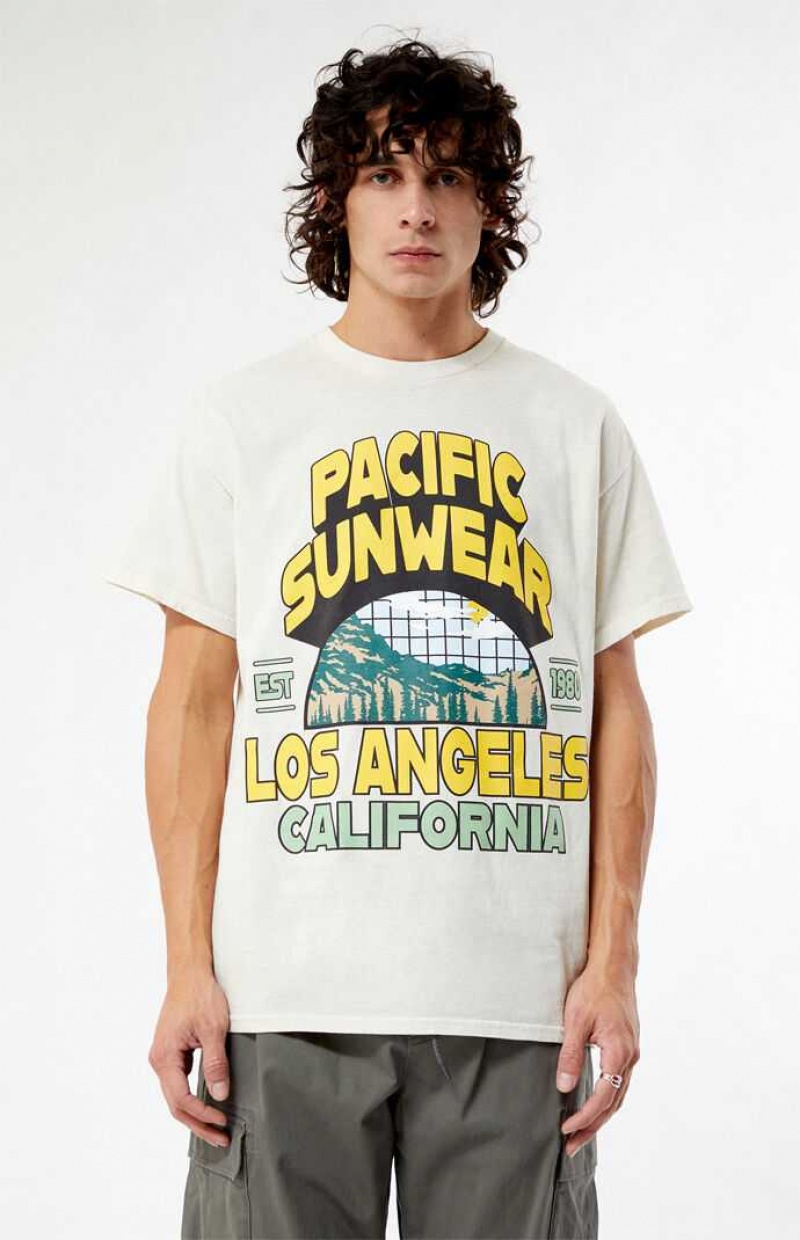 TAN PacSun Pacific Sunwear Los Angeles T-Shirt | LAWEQKN-23