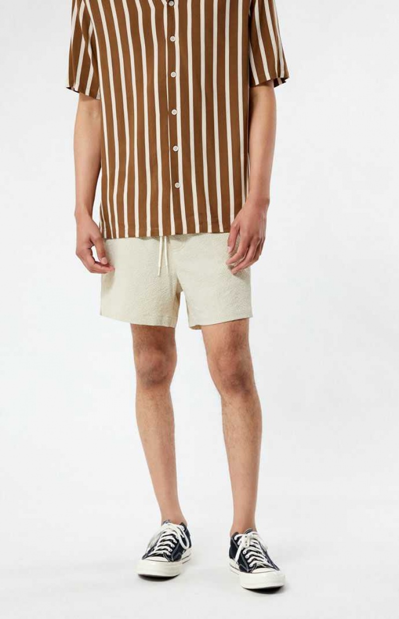 TAN PacSun Tan Sail Seersucker 4.5" Swim Trunks | YENUJVO-37