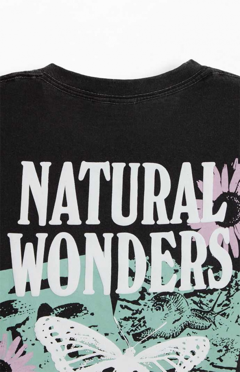 WASHED BLACK PacSun Natural Wonders T-Shirt | BOGSHEV-01