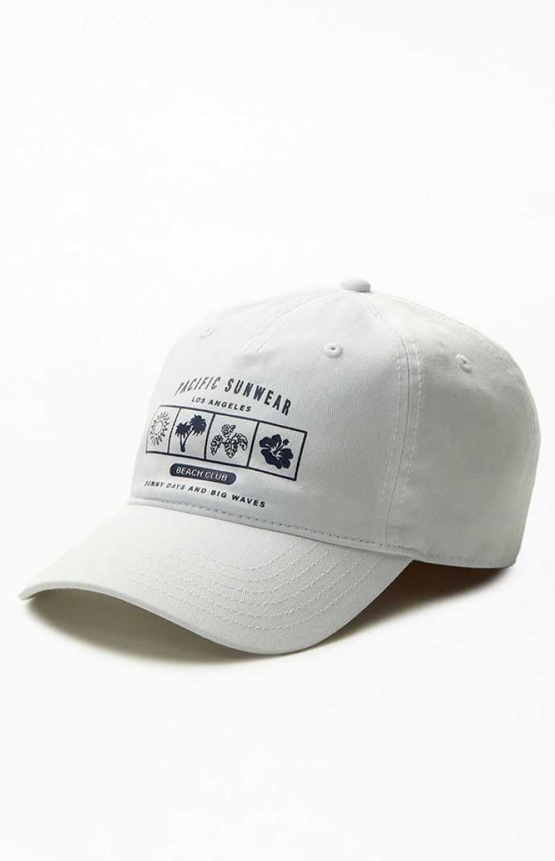 WHITE/BLUE PacSun Pacific Sunwear Tropical Strapback Hat | LFRDASB-14