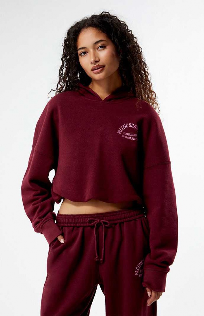 WINE PacSun Pacific Sunwear Arch Bubble Cropped Hoodie | NETJFIU-09