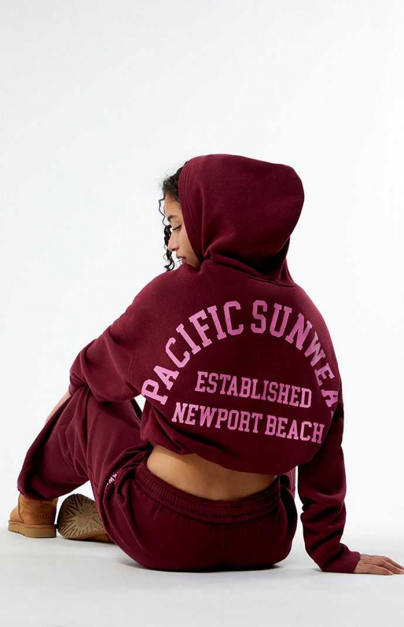 WINE PacSun Pacific Sunwear Arch Bubble Cropped Hoodie | NETJFIU-09